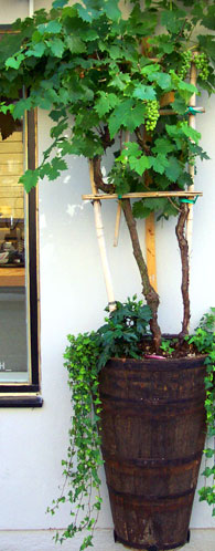 The Flower Company Bepflanzungen